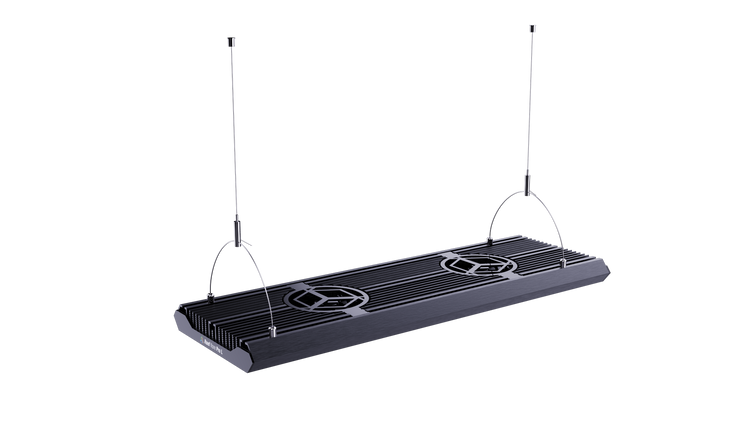 REEF FACTORY Reef flare Pro WIRES SET