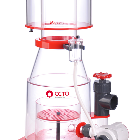 OCTO Regal Protein Skimmer INT