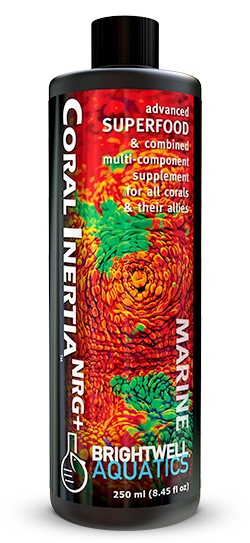 coralcoralページ BRIGHTWELL AQUATICS Coral Inertia NRG+ – ReefMarketSG Pte. Ltd.