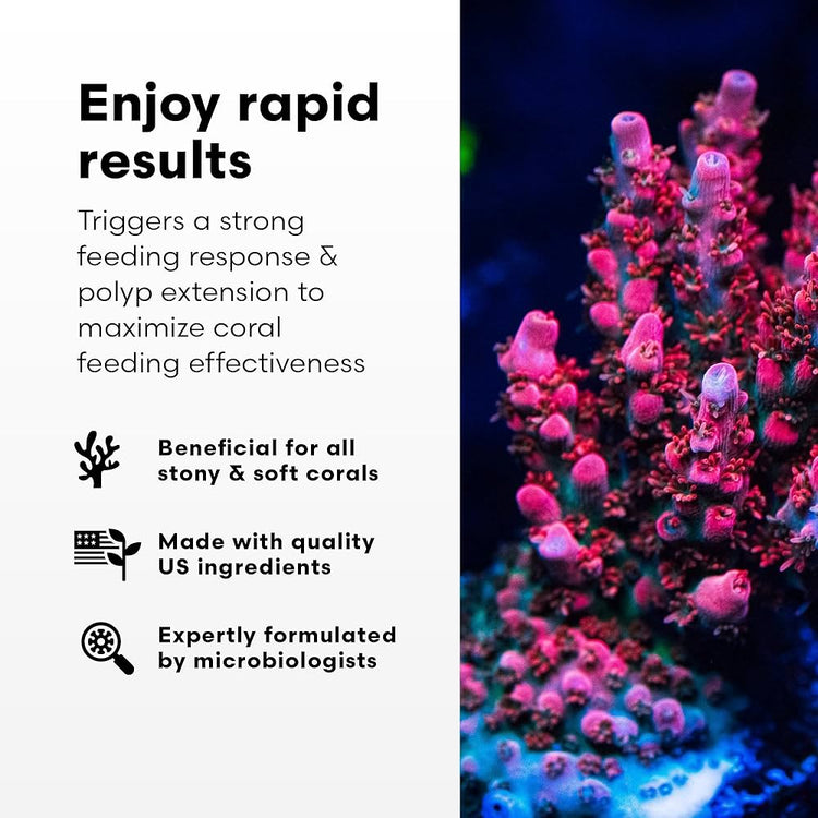 BRIGHTWELL AQUATICS Polyp Ignite 60ML