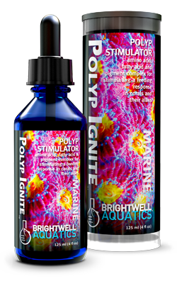 BRIGHTWELL AQUATICS Polyp Ignite 60ML