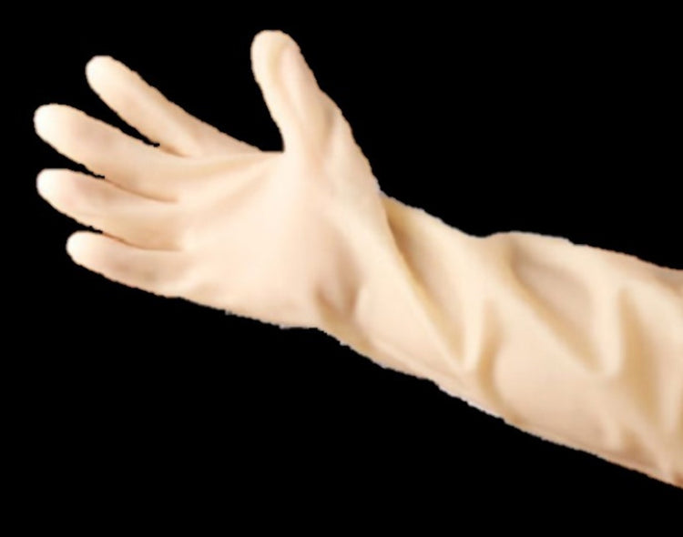 AE AQUARIUM GLOVES (FULL ARM LENGTH)