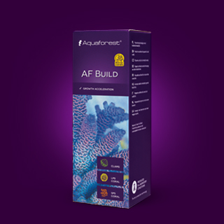 AF Build 10ML