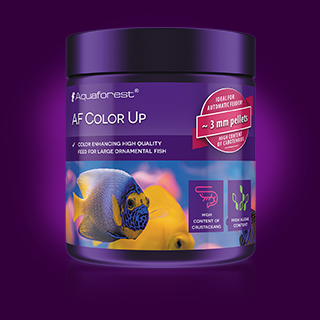 AF Color Up - 120G