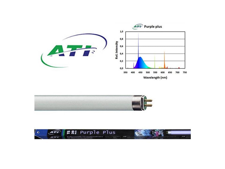 Purple Plus T5 HO