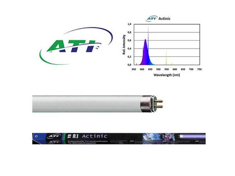 True Actinic T5 HO