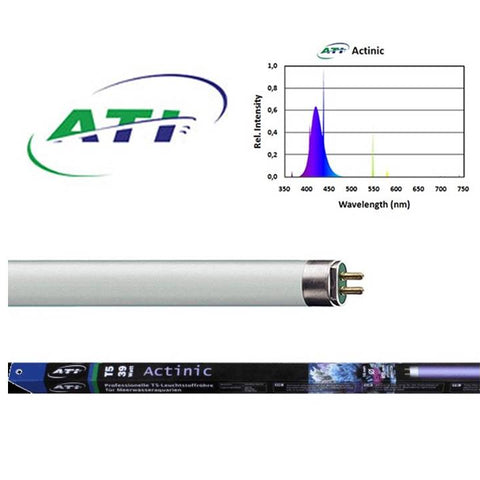 True Actinic T5 HO