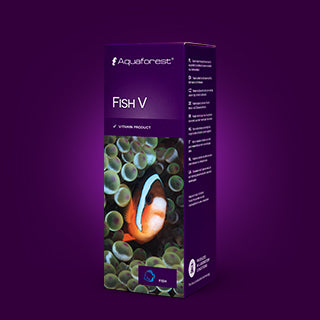 AF Fish V – ReefMarketSG Pte. Ltd