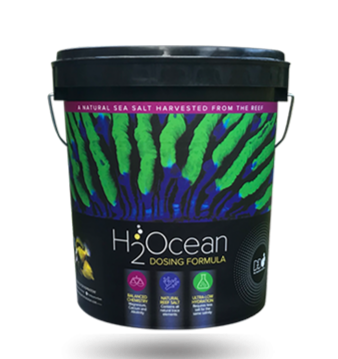 H2Ocean DD Dosing Formula Salt 23KG