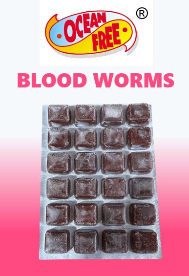 OCEAN FREE Blood Worms Frozen Pack – ReefMarketSG