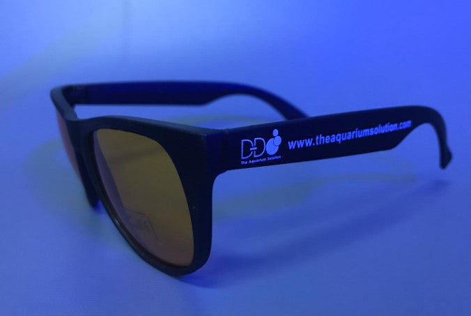 DD Coral Viewing Glasses
