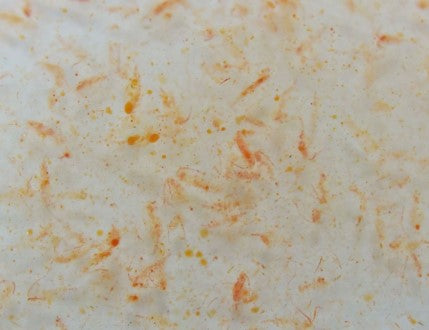 FM 100% Natural Ocean Plankton