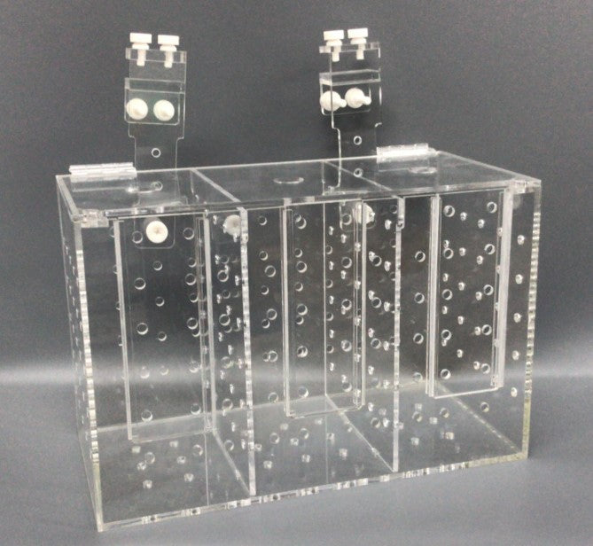 Quarantine/Isolation Box with Removable Divider