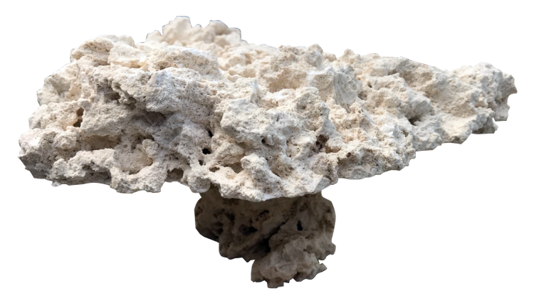 Pedestal Rock Natural Top - Per Pc (3-5kg)