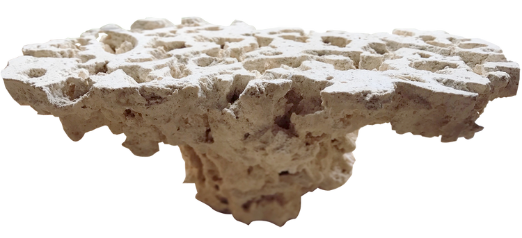 Pedestal Frag Top - Per Pc (3-5kg)