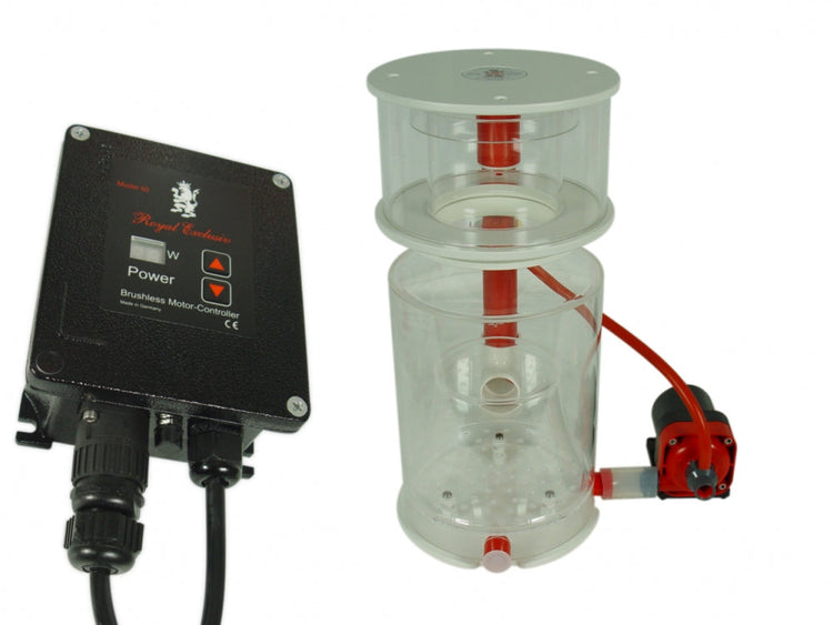 Bubble King Supermarine 250 + RD3 Speedy