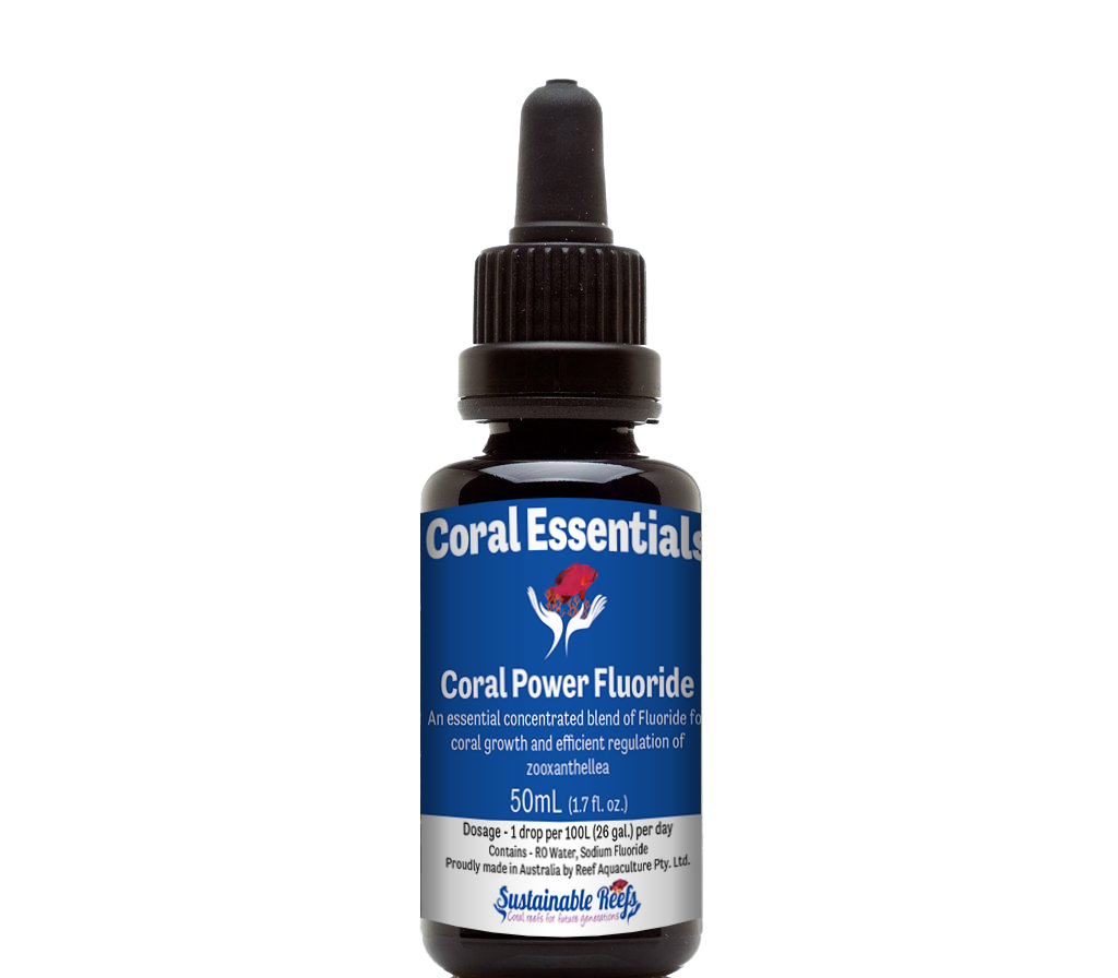 CORAL ESSENTIALS Coral Power Fluoride 50ML