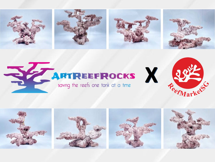 Art Reef Rocks Scape