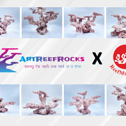 Art Reef Rocks Scape