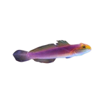 [PH] Bella Goby (Valenciennea Bella)