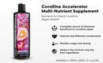BRIGHTWELL AQUATICS Coralline Accelerator