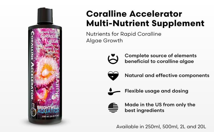BRIGHTWELL AQUATICS Coralline Accelerator
