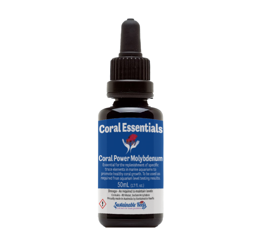 CORAL ESSENTIALS Coral Power Molybdenum 50ML