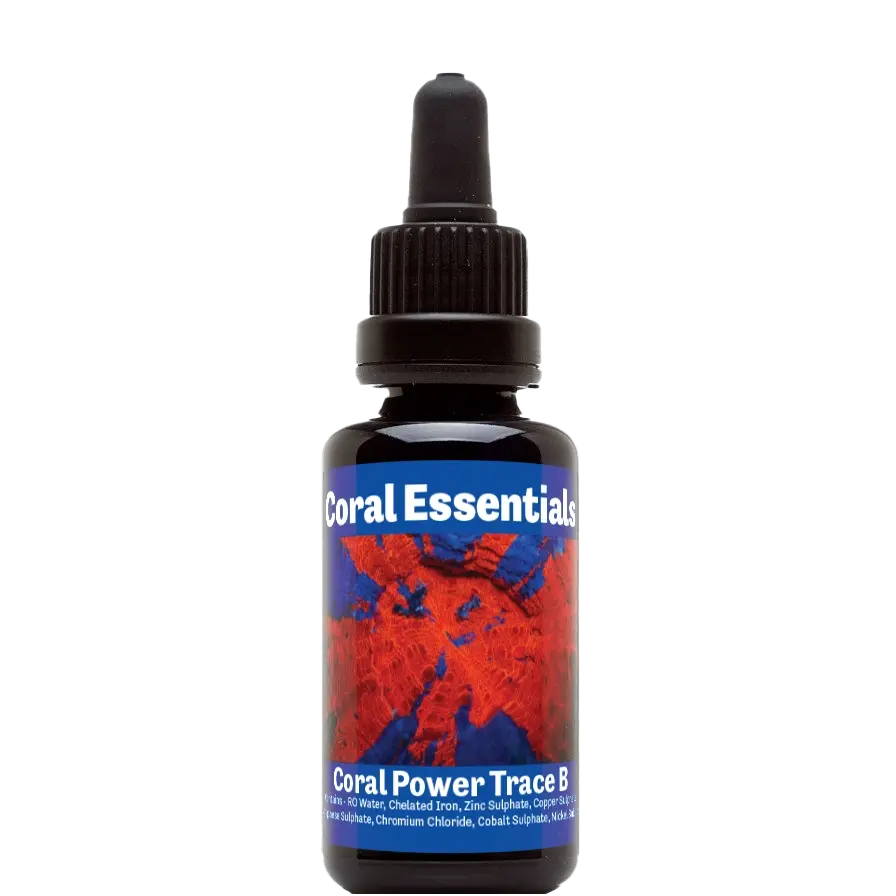 CORAL ESSENTIALS Coral Power Trace B