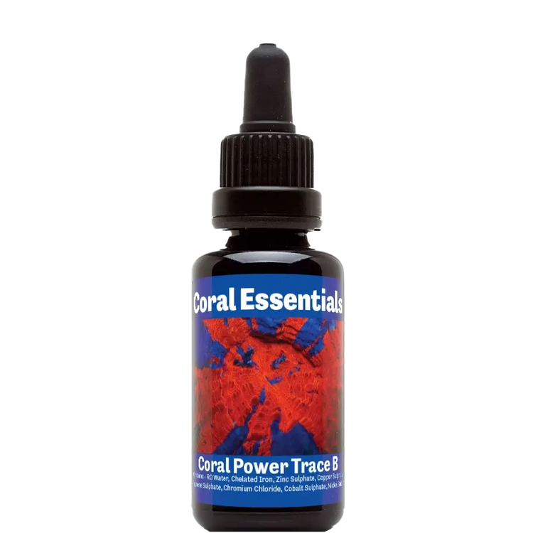 CORAL ESSENTIALS Coral Power Trace B