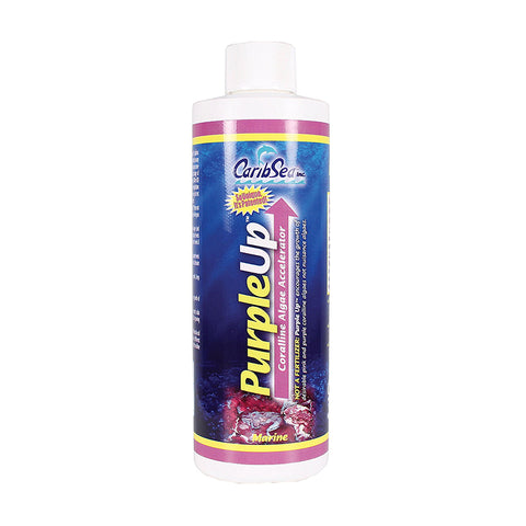 CARIBSEA PurpleUp
