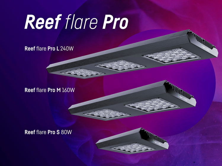 REEF FACTORY Reef Flare Pro M