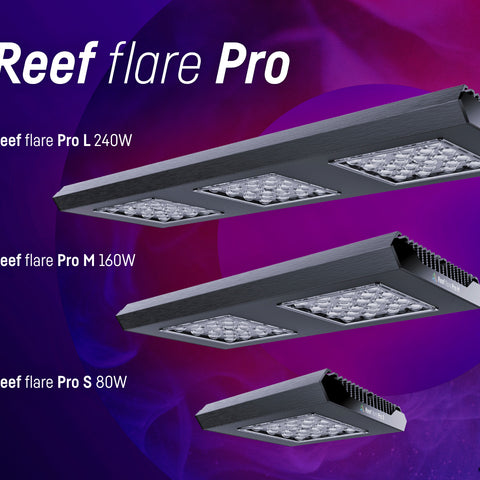 REEF FACTORY Reef Flare Pro L