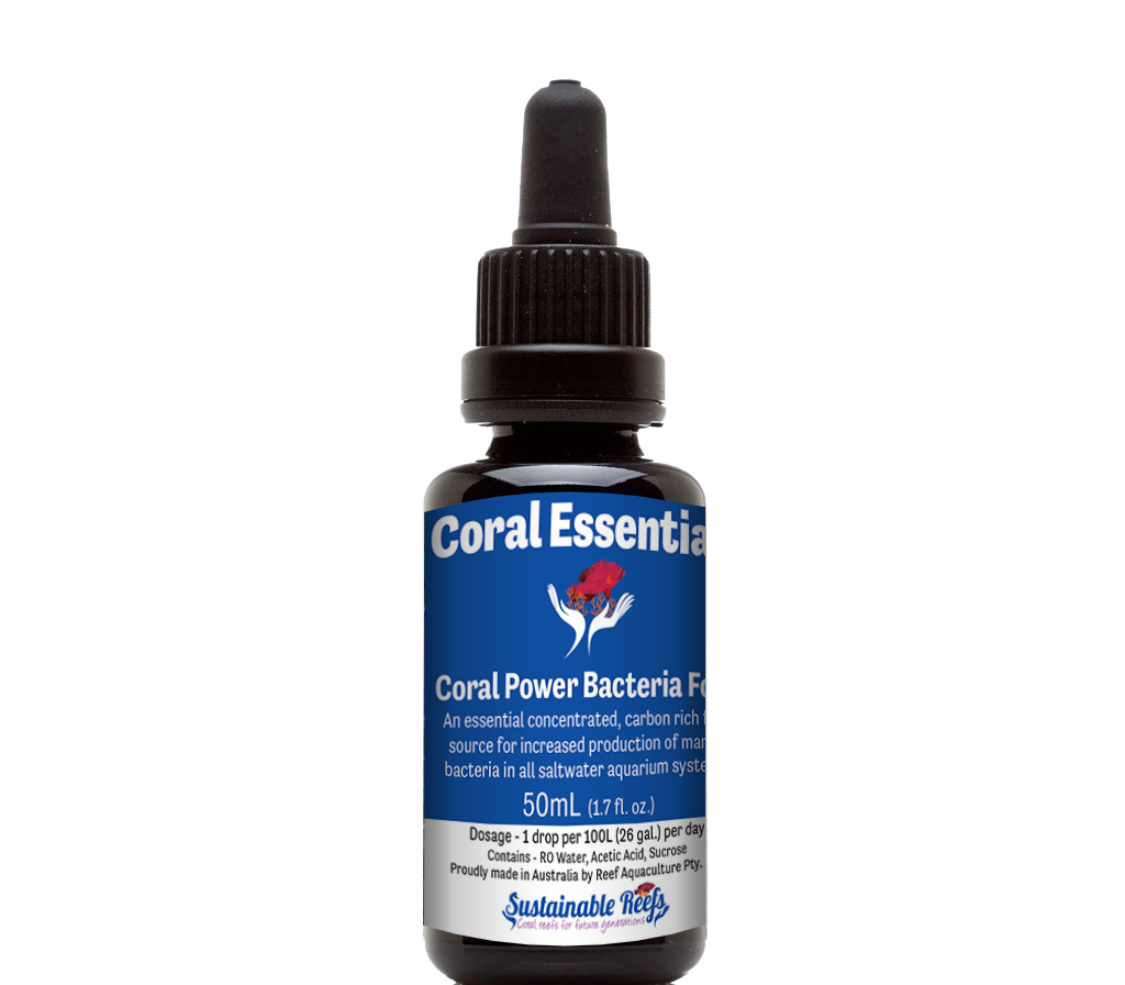 Coral Power Bacteria Food 50ml