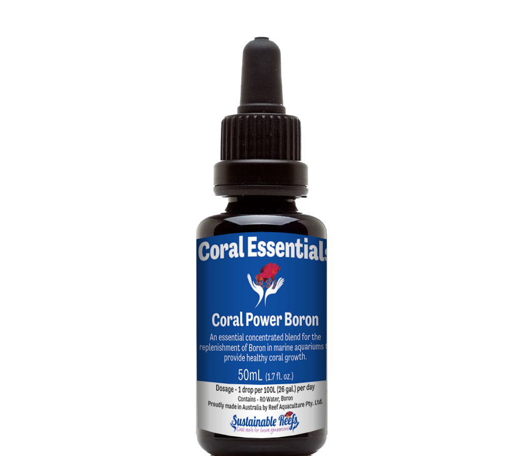 Coral Power Boron 50ml