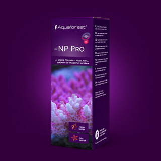 AF -NP PRO 50ML