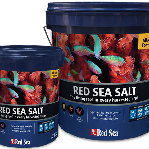 Red Sea Coral Pro Salt 22KG – ReefMarketSG Pte. Ltd. Red Sea Coral Pro Salt 22KG – ReefMarketSG Pte. Ltd.