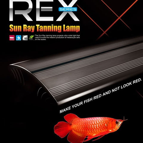 DYMAX REX Series Sun Ray Tanning Lamp (L) 120CM/4FT