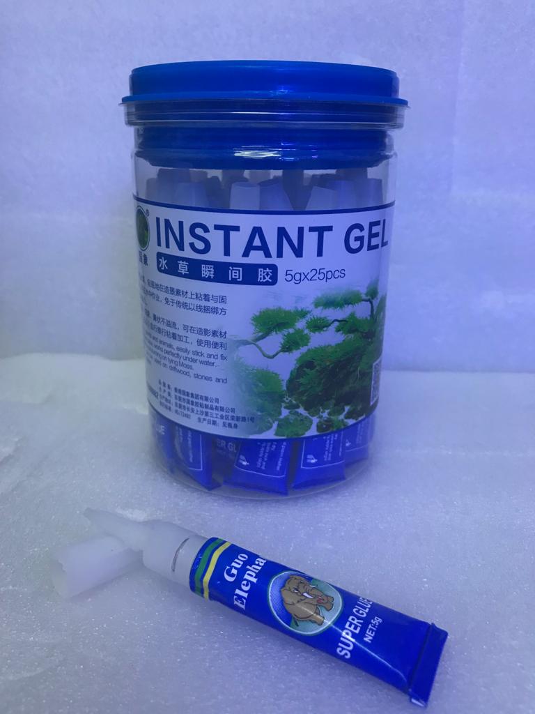 Guo Elephant Glue 5g in a tub (25pcs)