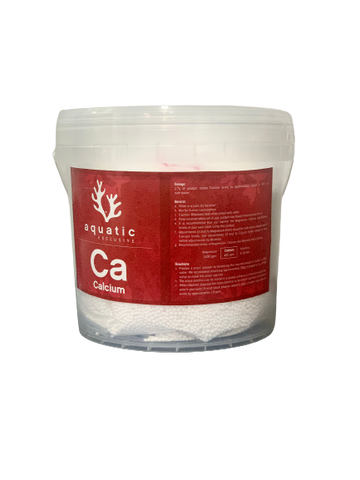 AE CA/CALCIUM 4KG