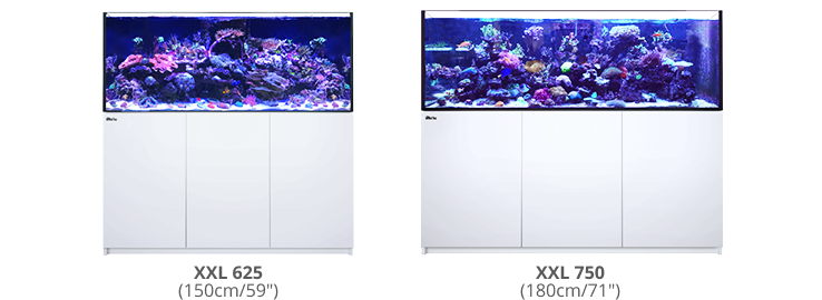 RED SEA Reefer G2 Complete System (Nano| 170| 250| 350| XL200| XL300| XL425| XL525| XXL625| XXL750| XXXL900| S-850| S-1000| P500| P650)