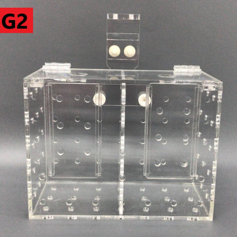 Quarantine/Isolation Box with Removable Divider