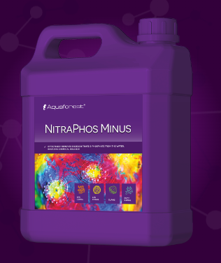 AF NitraPhos Minus 2000ML