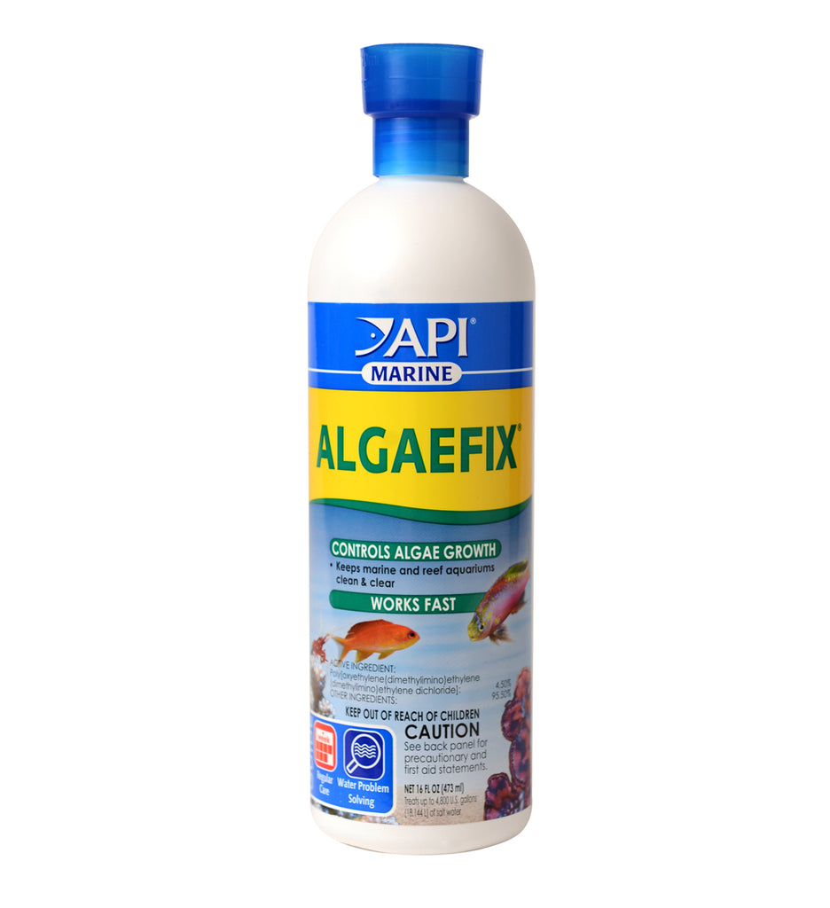 API MARINE ALGAEFIX™