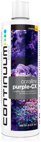 Coralline Purple CX