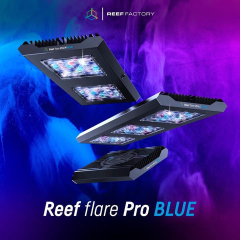 REEF FACTORY Reef Flare Pro Blue M