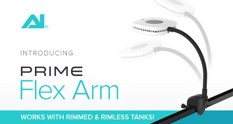 Flex Arm Mount