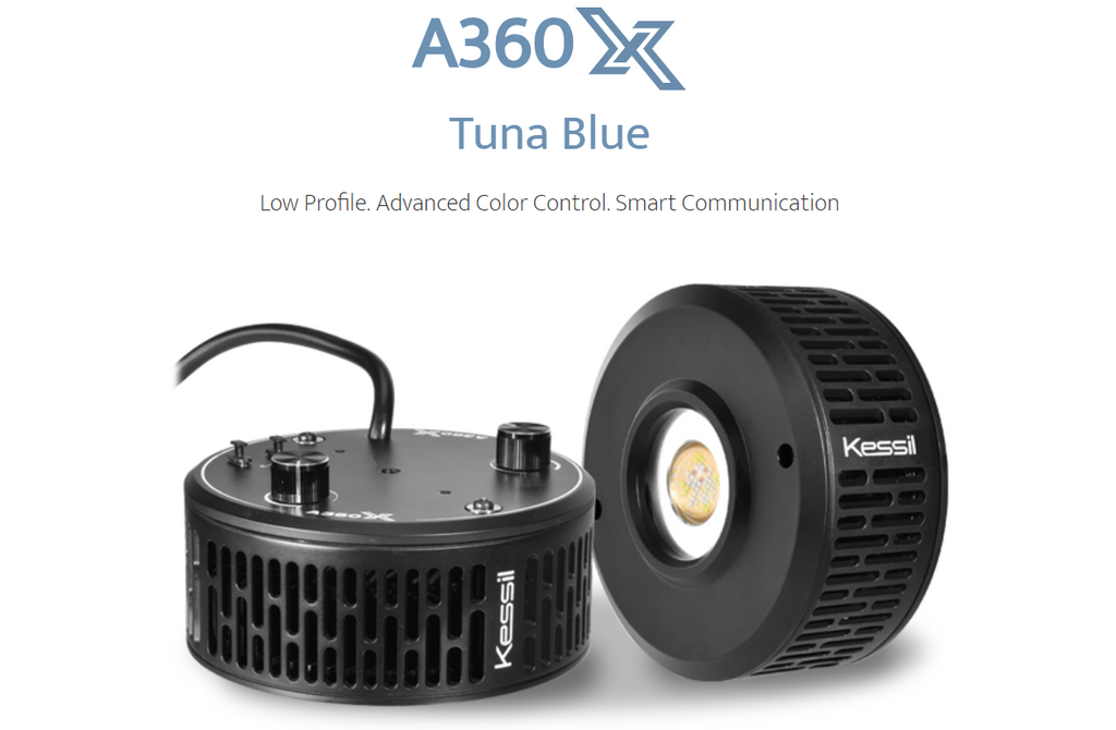 Kessil A360X Tuna Blue