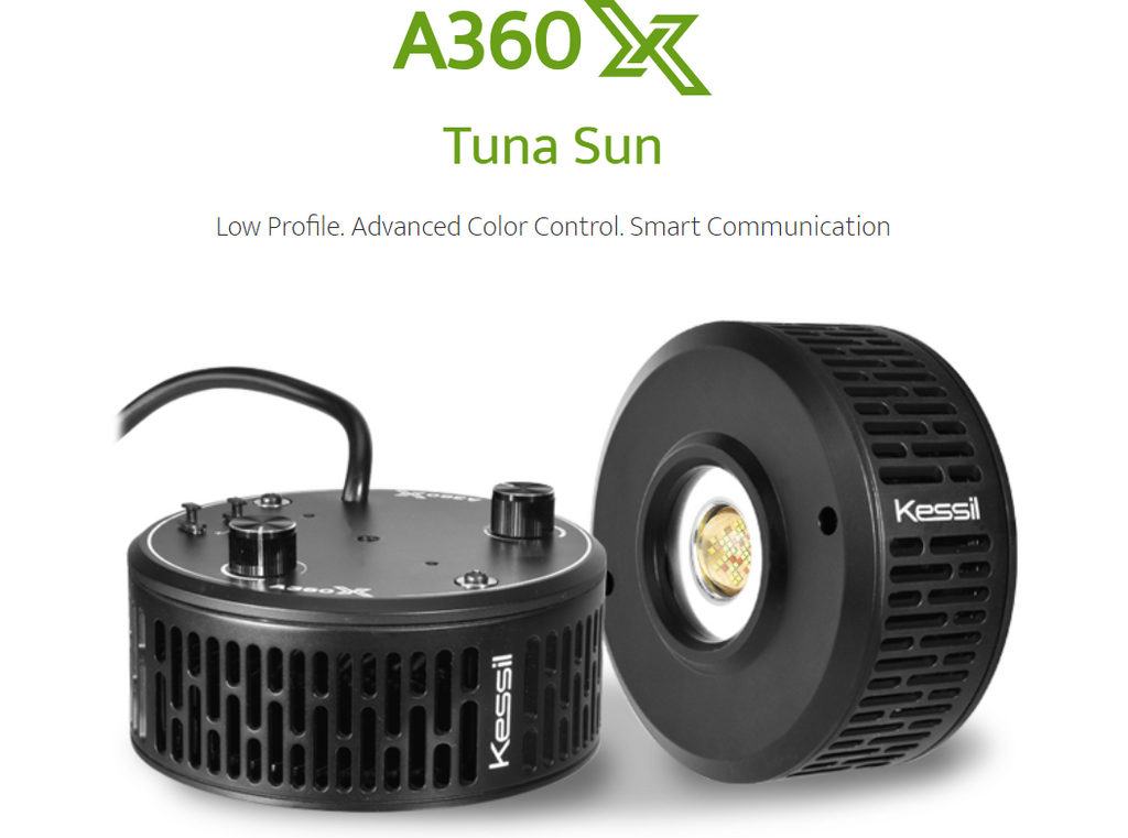 Kessil A360X Tuna Sun