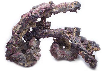 CARIBSEA LifeRock Fraggerz 10 PK – ReefMarketSG Pte. Ltd.
