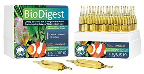 PRODIBIO BioDigest - 30 Vials